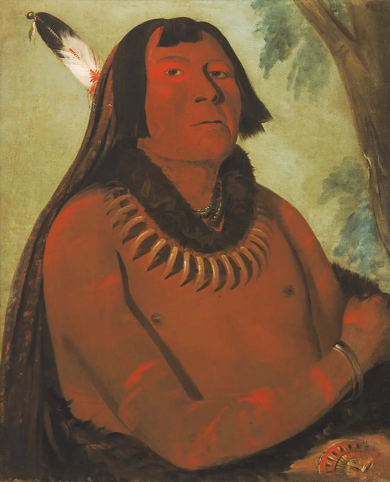 Mah-táhp-ta-a, se precipita en medio, un valiente - George Catlin