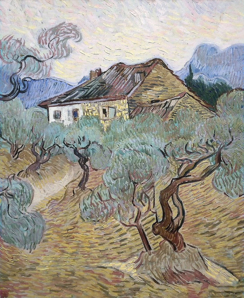 La casa blanca entre los olivos - Vincent van Gogh