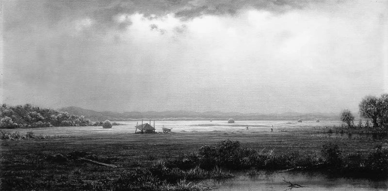 Marismas de Newburyport - Martin Johnson Heade