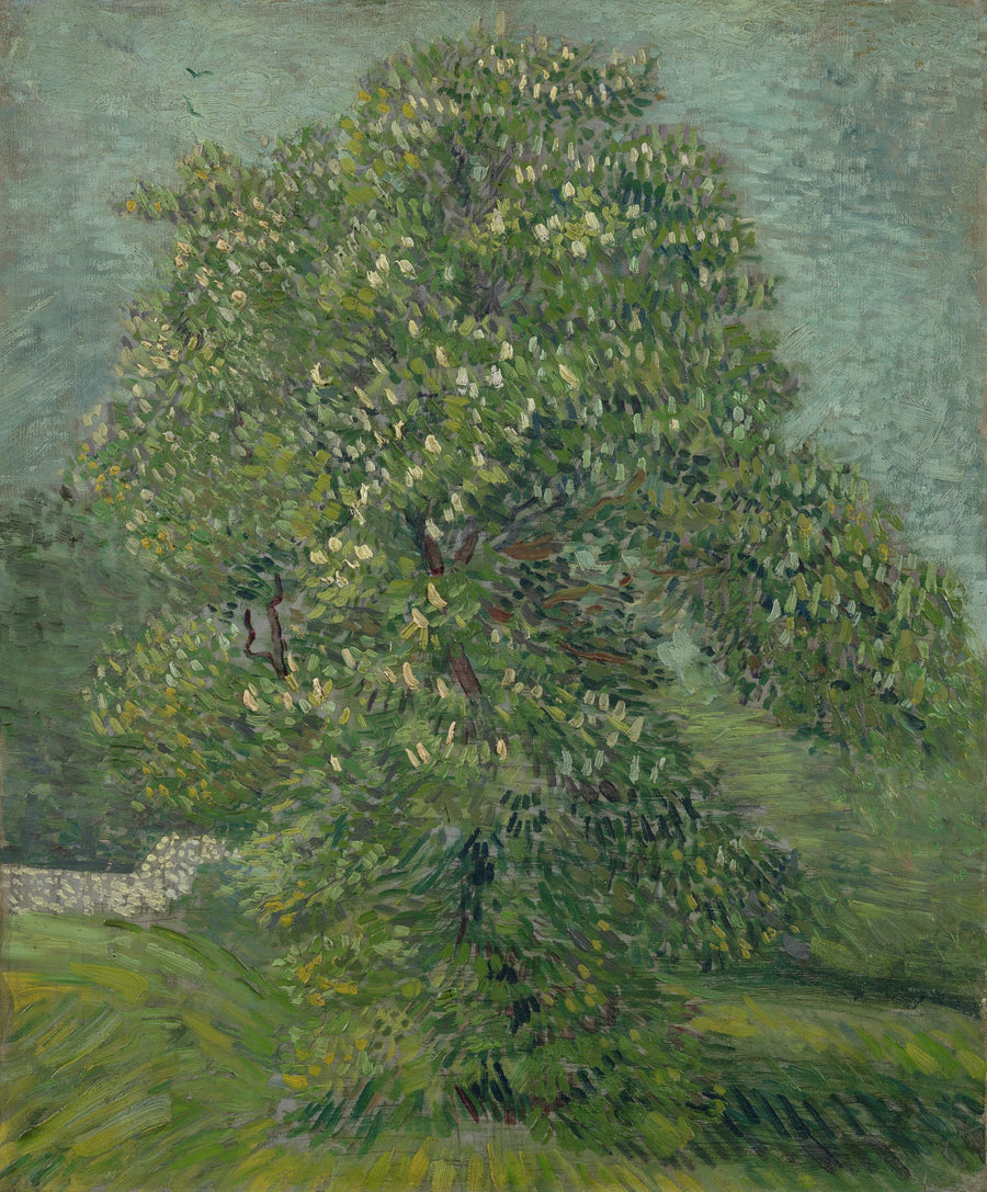 Castaño de Indias en flores - Vincent van Gogh