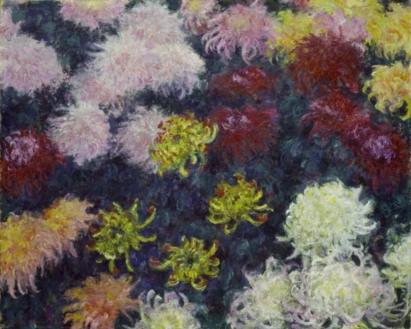 Macizo de crisantemos - Claude Monet