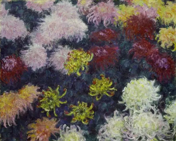 Macizo de crisantemos - Claude Monet