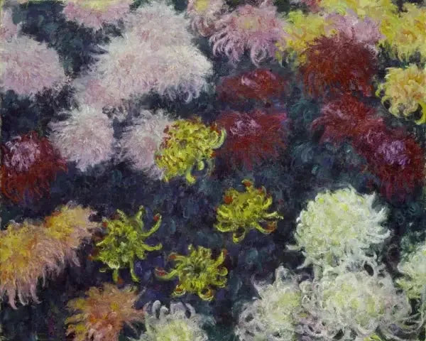 Macizo de crisantemos - Claude Monet