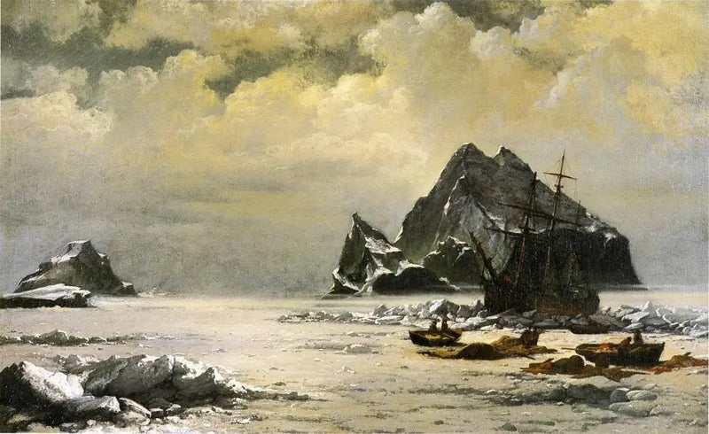 Mañana en los campos de hielo del Ártico - William Bradford