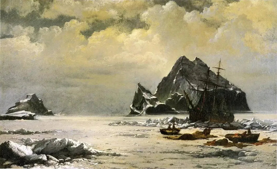 Mañana en los campos de hielo del Ártico - William Bradford