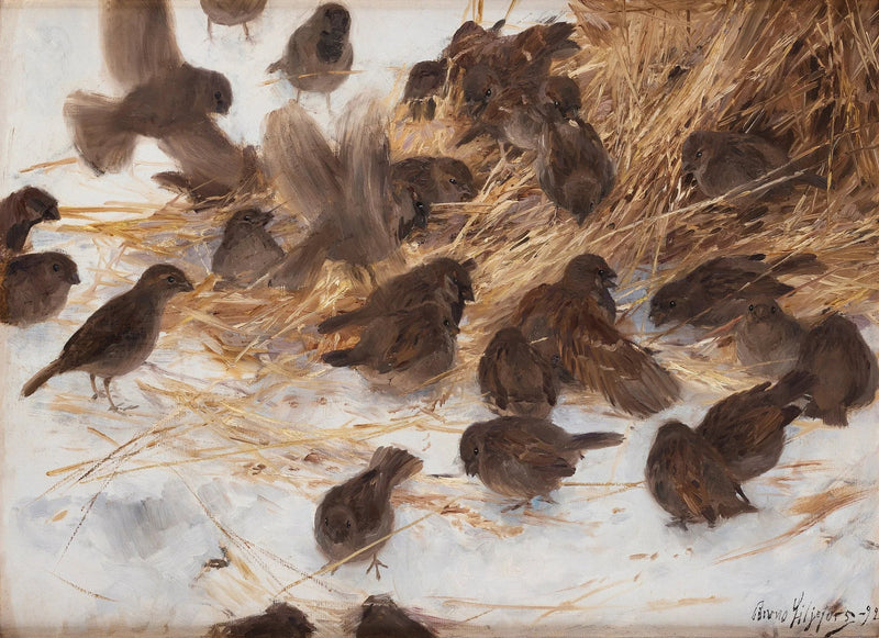 Gorriones en una gavilla de avena - Bruno Liljefors