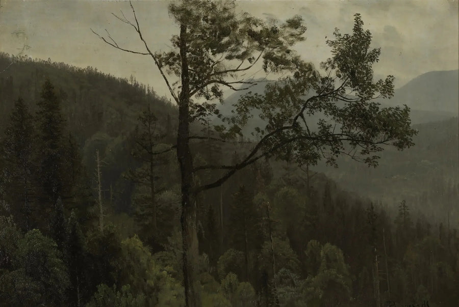 Montañas cubiertas de árboles - Albert Bierstadt