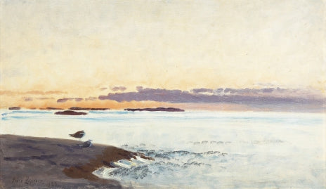 Gaviotas en el lote - Bruno Liljefors
