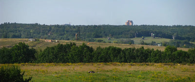 Moulin à vent dans le champ - Ivan Chichkine - Alpha Reproduction