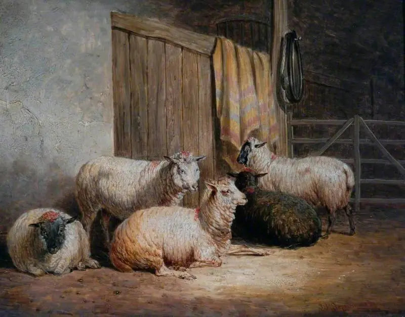 Oveja - John Frederick Herring, Sr.