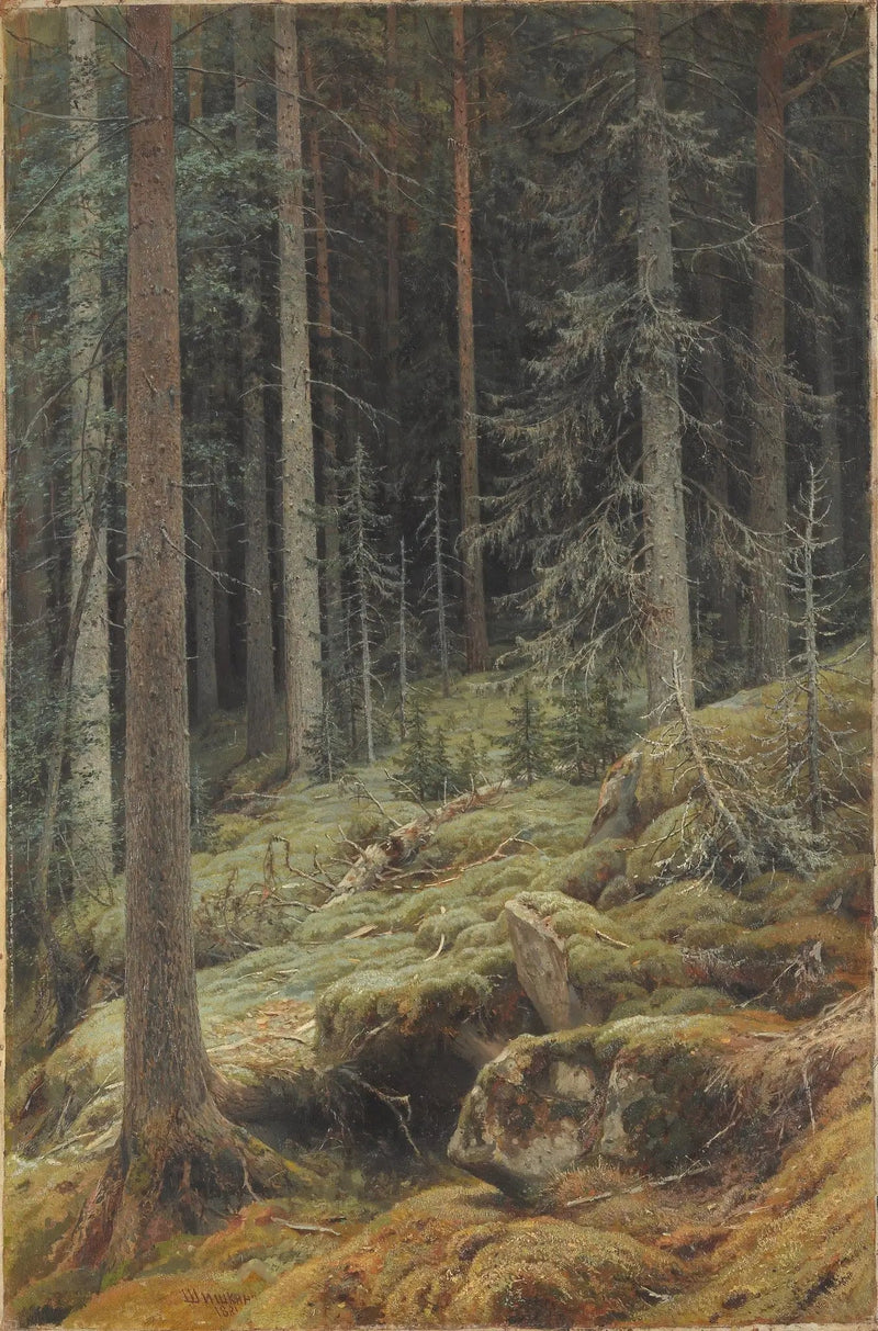Naturalezas Salvajes - Ivan Chichkine