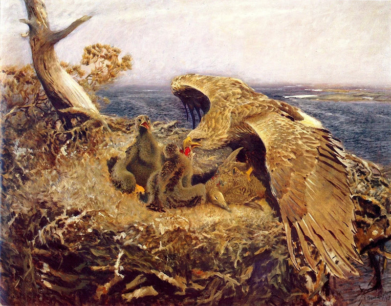 Nido de águila marina - Bruno Liljefors