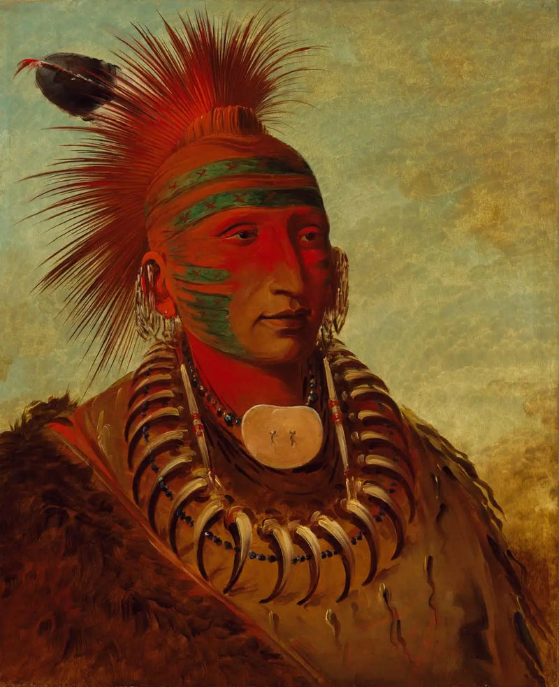 No-ho-mun-ya, Aquel que no presta ninguna atención - George Catlin