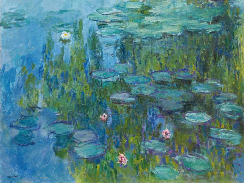Nenúfares, Neue Pinakothek W1796 - Claude Monet