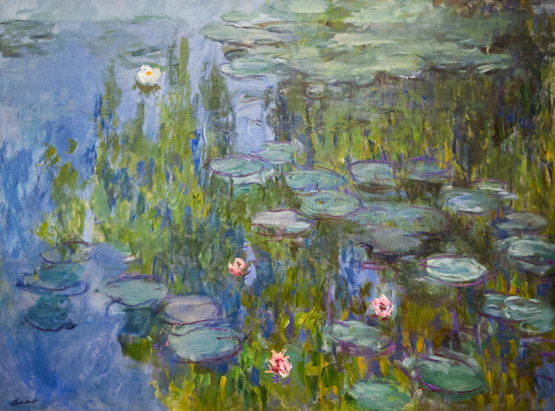 Nenúfares, Neue Pinakothek W1796 - Claude Monet