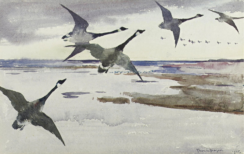 Ocas de Canadá - Frank Weston Benson