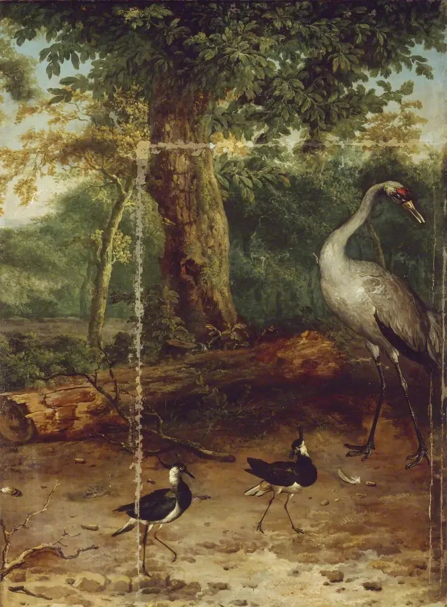 Aves en un bosque - Melchior de Hondecoeter