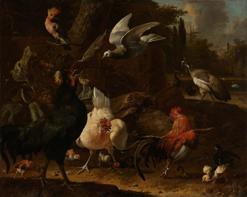 Aves en un parque - Melchior de Hondecoeter