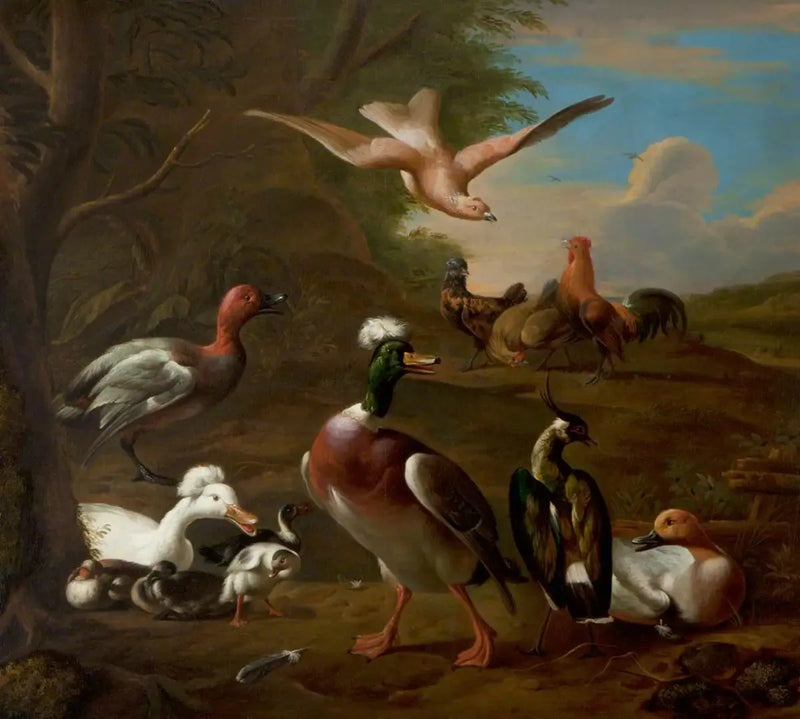 Aves en un paisaje - Melchior de Hondecoeter