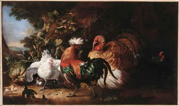 Aves de corral - Melchior de Hondecoeter