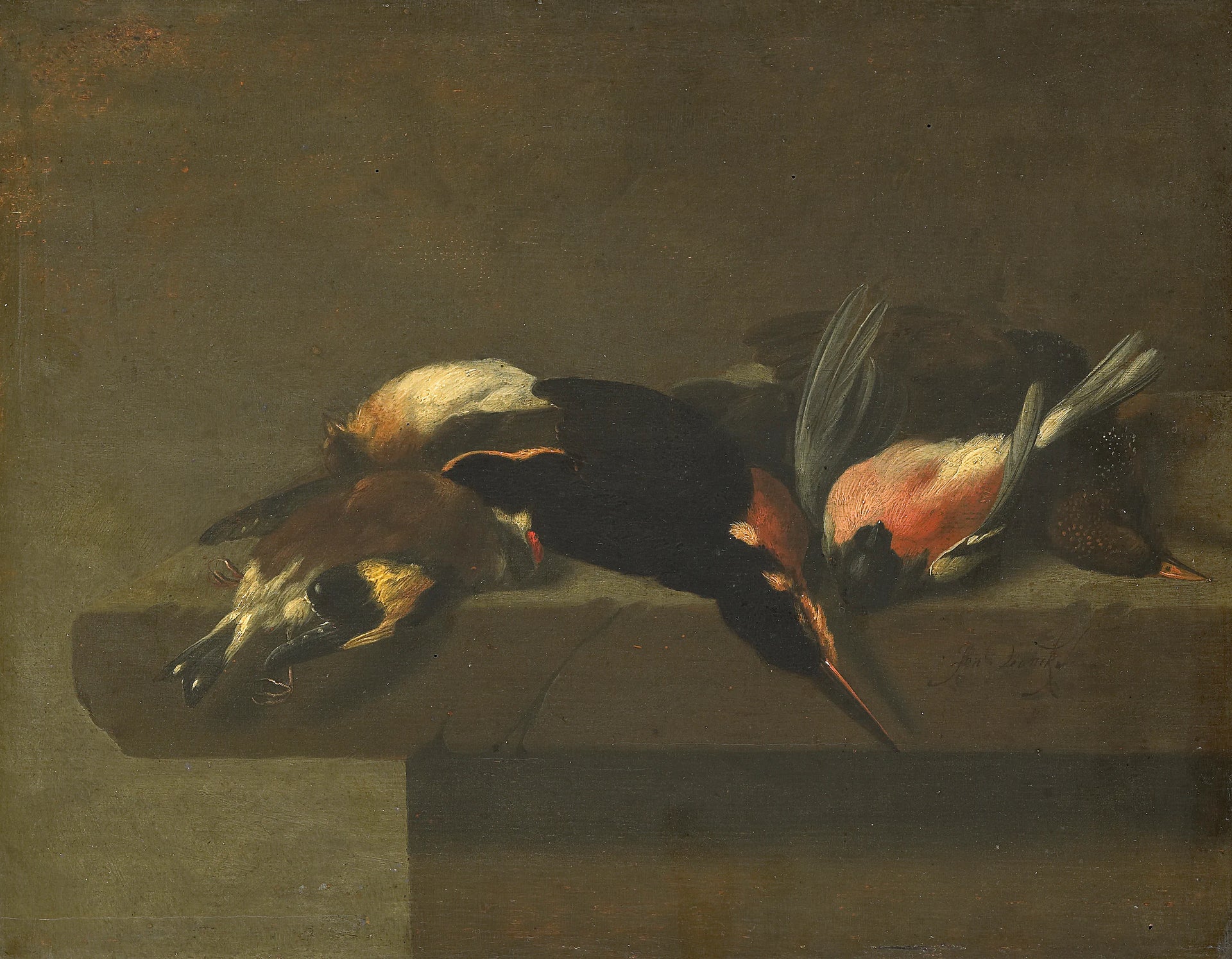 Oiseaux morts - Jan Vonck