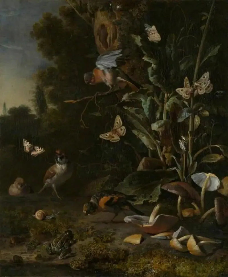 Aves, mariposas y una rana entre las plantas y los hongos - Melchior de Hondecoeter