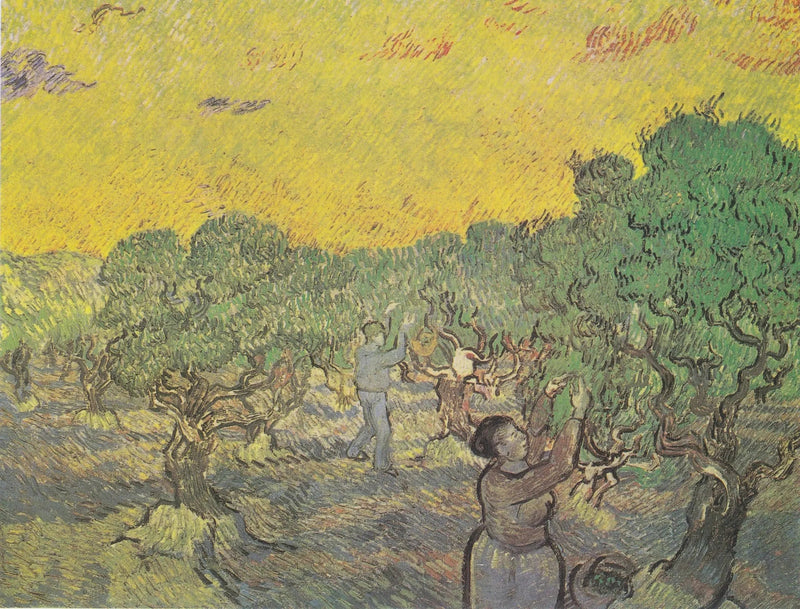 Olivar con figuras de recolección - Vincent van Gogh