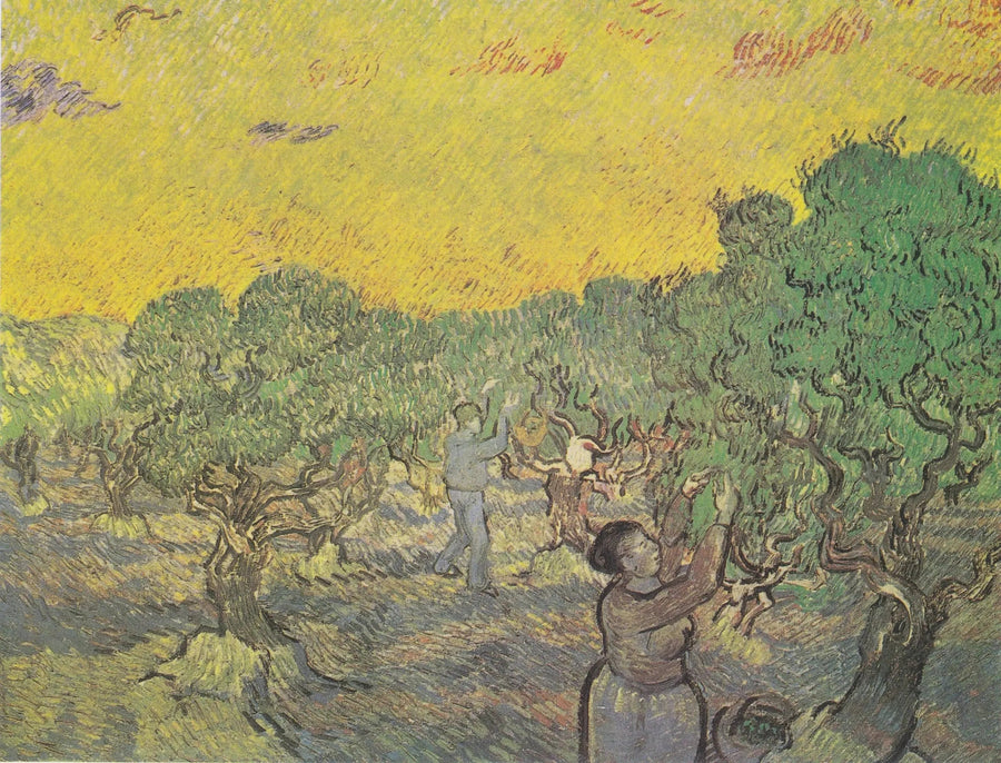Olivar con figuras de recolección - Vincent van Gogh