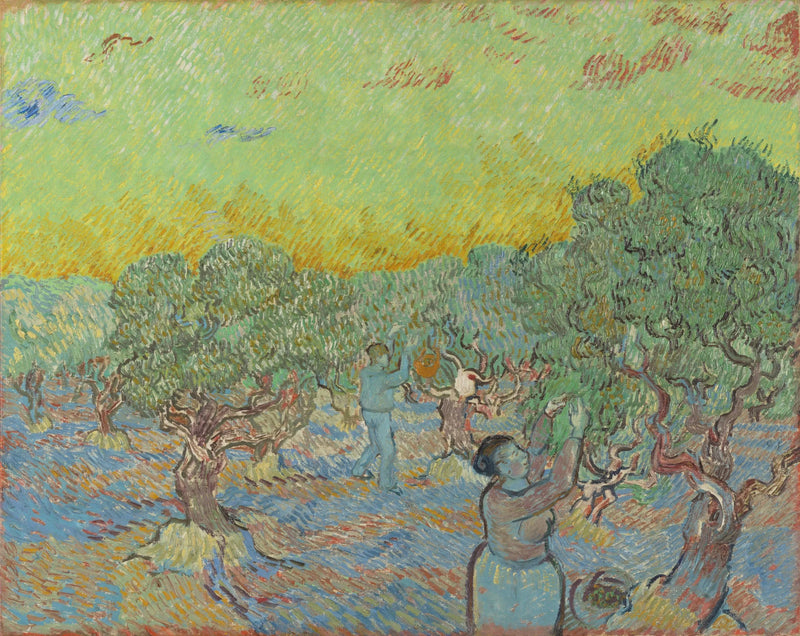 Olivar con figuras de recolección - Vincent van Gogh