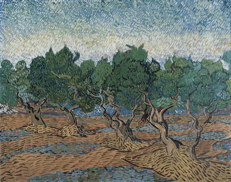 Olivar - Vincent van Gogh