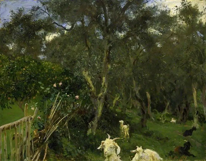 Aceitunas en Corfú - John Singer Sargent