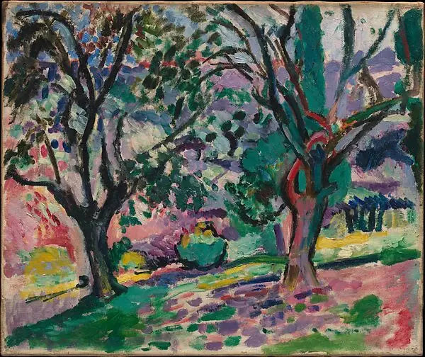 Olivos en Collioure - Henri Matisse