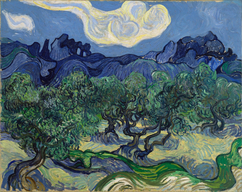 Olivos con las Alpilles al fondo - Vincent van Gogh