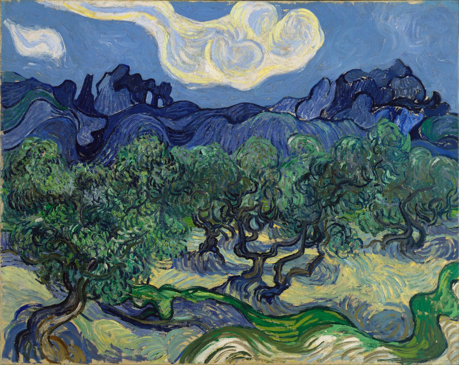 Olivos con las Alpilles al fondo - Vincent van Gogh