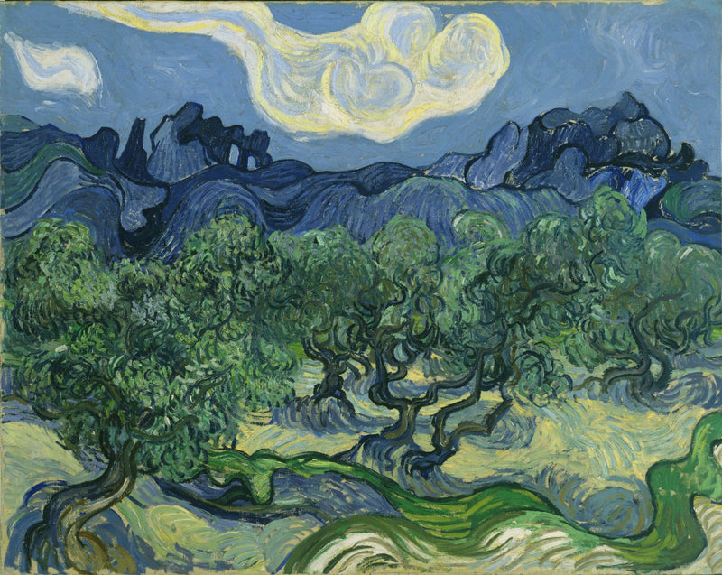 Olivos - Vincent van Gogh