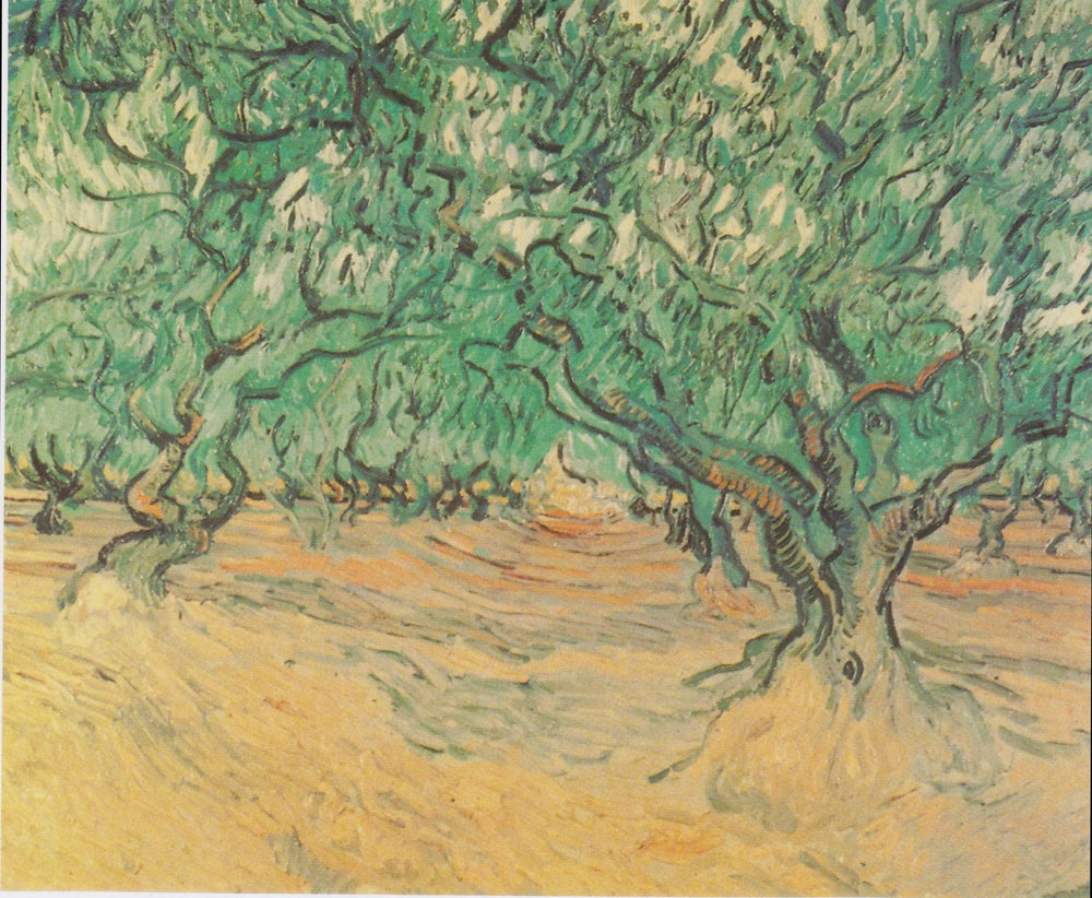 Oliviers - Vincent van Gogh image 1 reproduction de peinture à l’huile