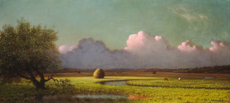 Sombra y luz: los pantanos de Newbury - Martin Johnson Heade