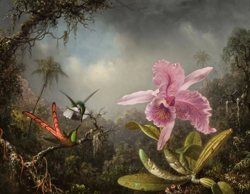 Orquídea con dos colibríes - Martin Johnson Heade