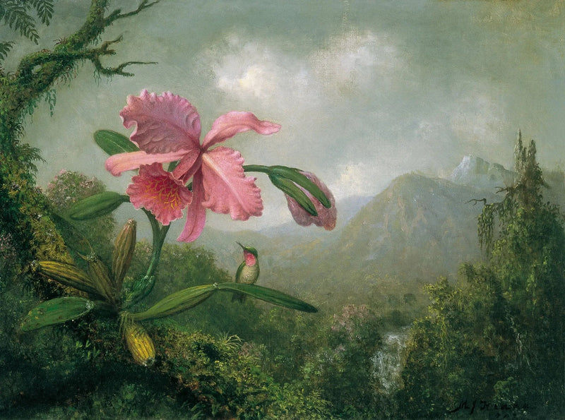 Orquídea y colibrí cerca de una cascada de montaña - Martin Johnson Heade