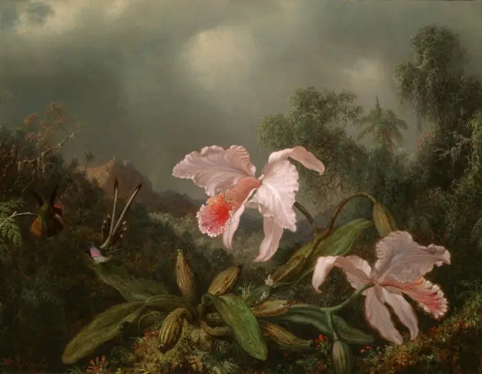 Orquídeas de la selva y colibríes - Martin Johnson Heade