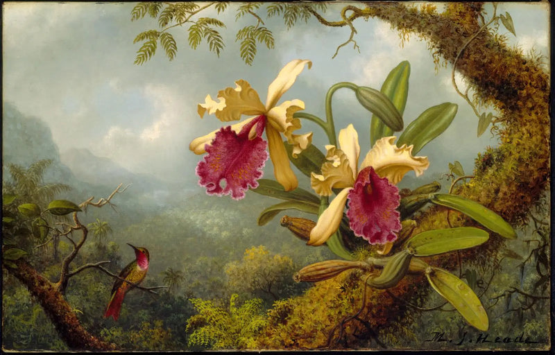Orquídeas y colibrí - Martin Johnson Heade