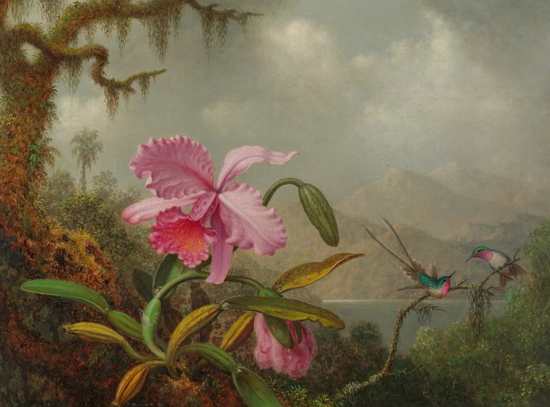 Orquídeas y colibríes - Martin Johnson Heade