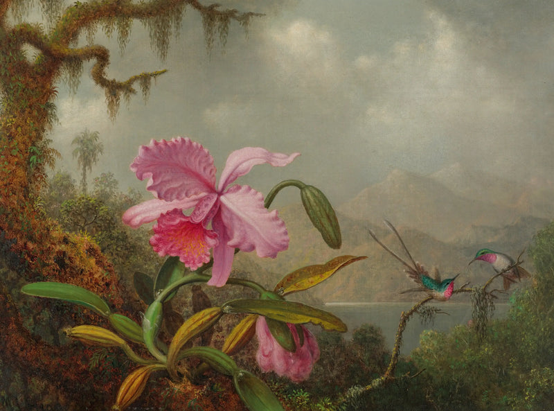 Orquídeas y colibríes - Martin Johnson Heade