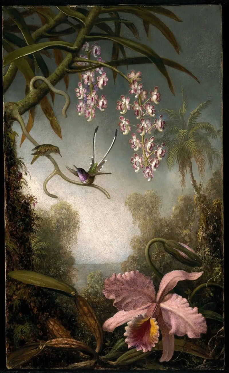 Orquídeas y orquídeas en spray con colibrí - Martin Johnson Heade