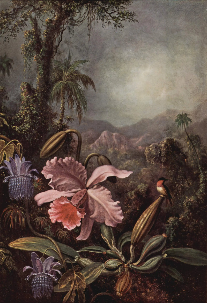 Orquídeas, pasifloras y colibríes - Martin Johnson Heade