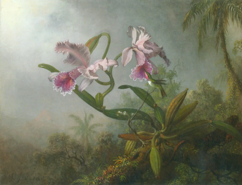 Orquídeas rosas y colibrí sobre una ramita - Martin Johnson Heade