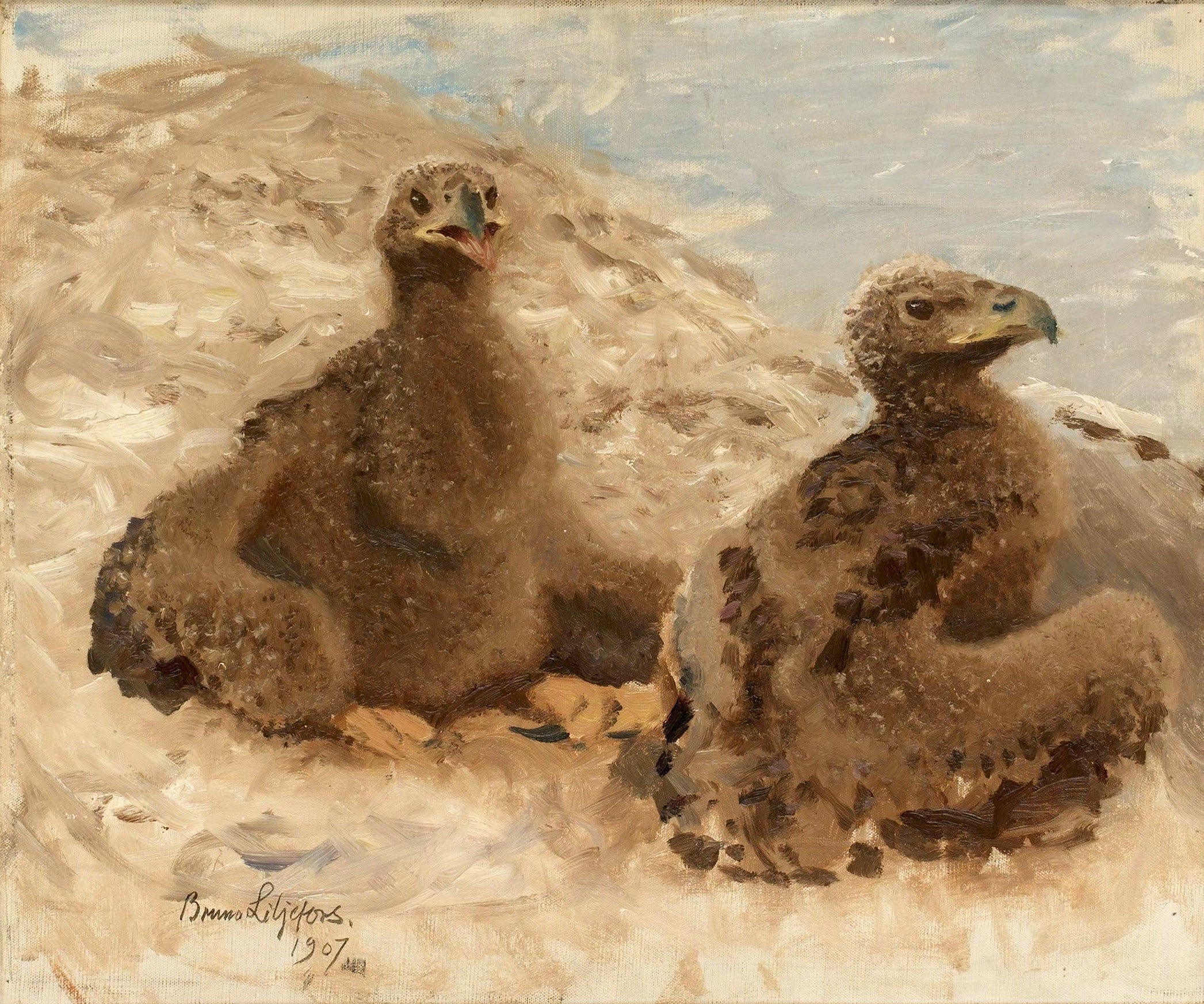 Örnungar - Bruno Liljefors image 1 reproduction d’œuvre d’art à l’huile