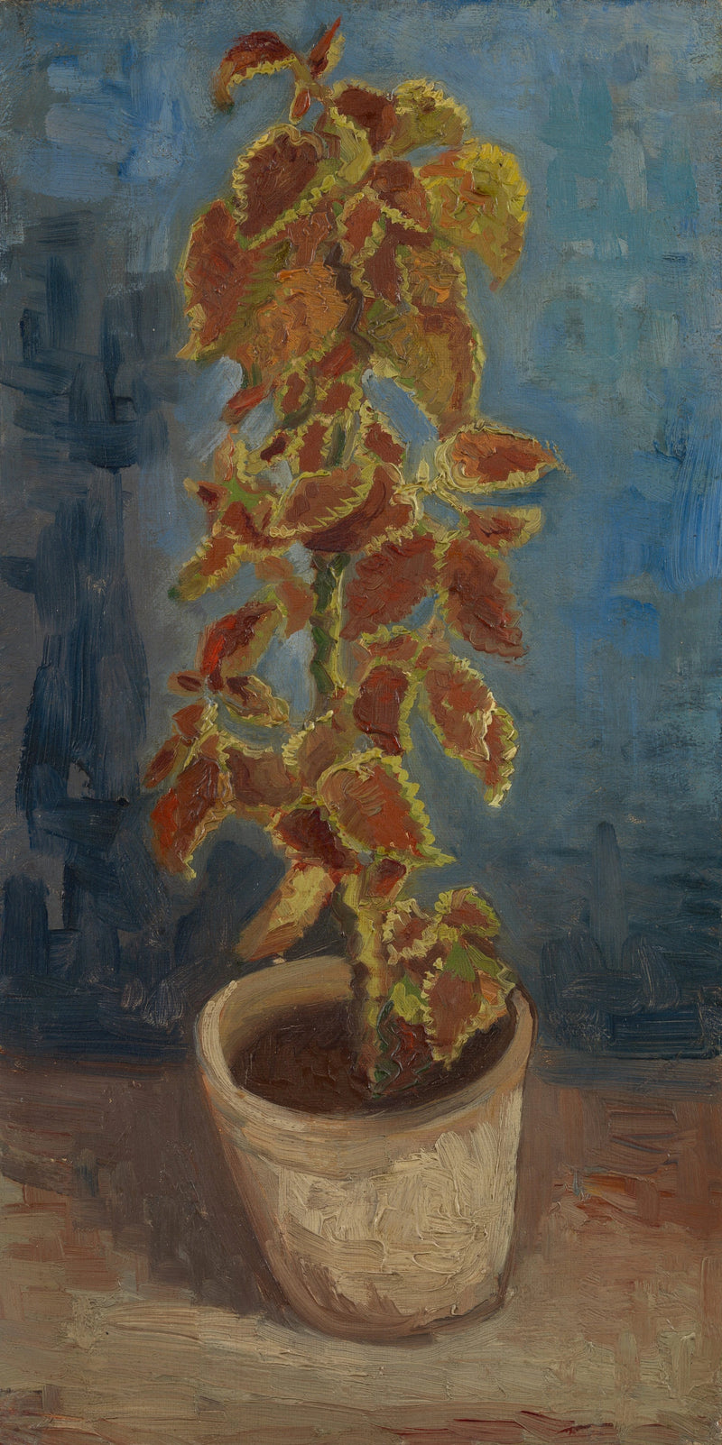 Ortiga resplandeciente en maceta - Vincent van Gogh