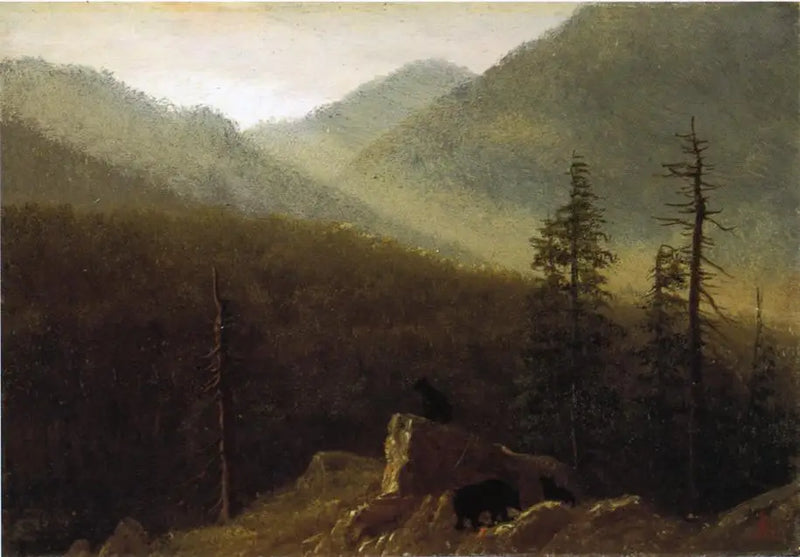 Ours en la naturaleza - Albert Bierstadt