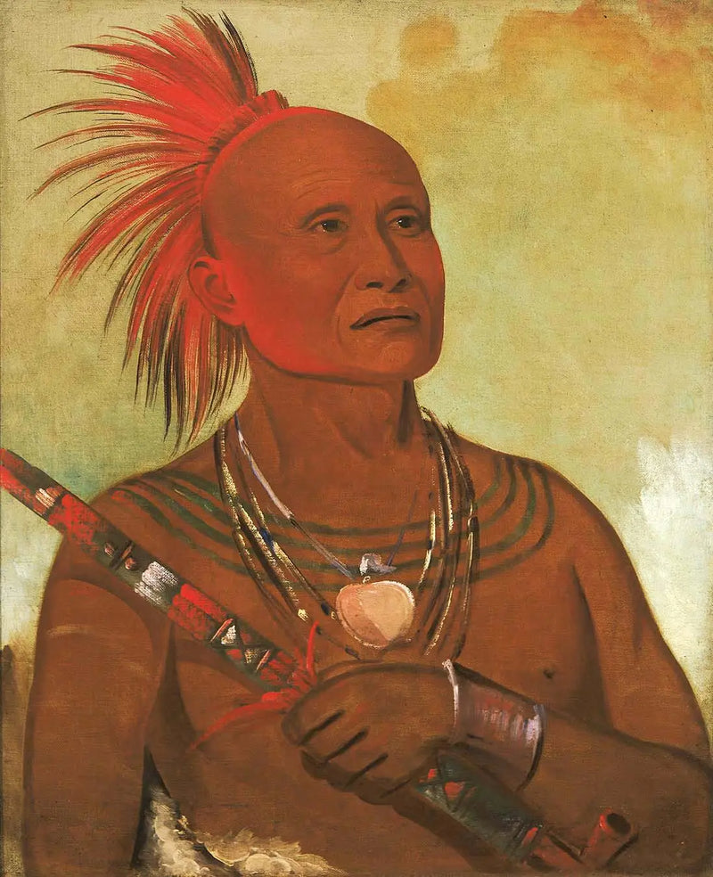 Pam-a-hó, el nadador, uno de los guerreros de Black Hawk - George Catlin